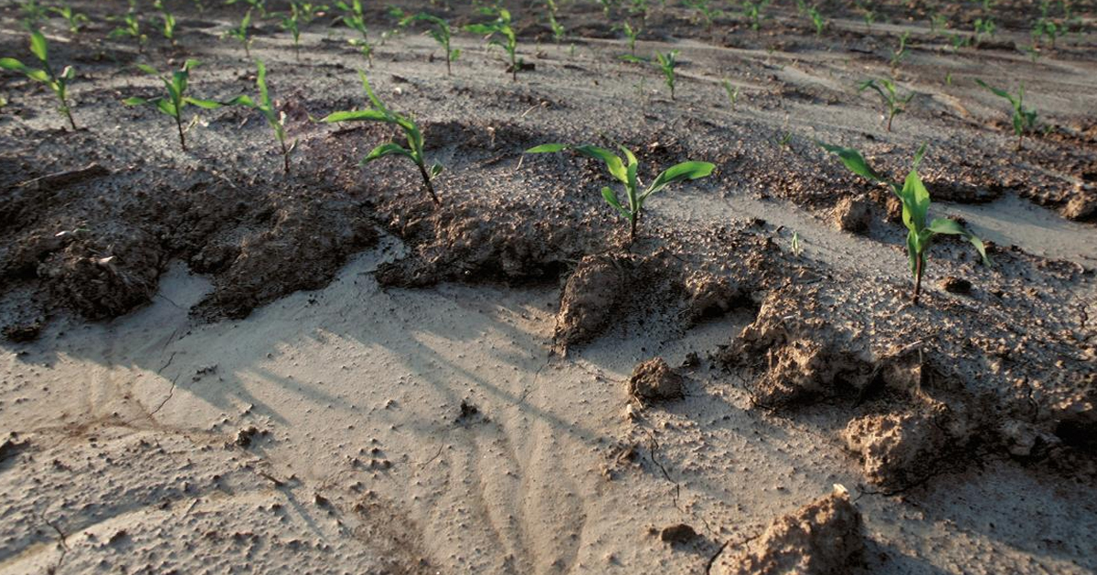 Proper Tillage Practices: Problems With Tilling Soil Too Much
