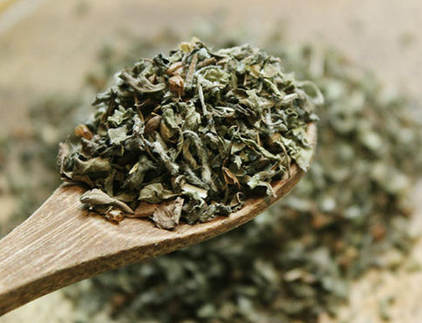 Basil