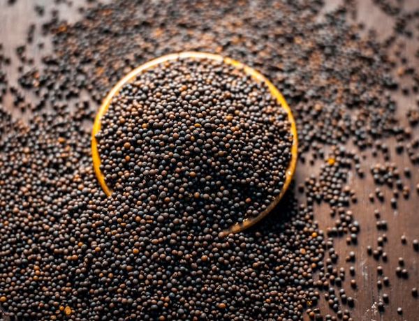 Mustard