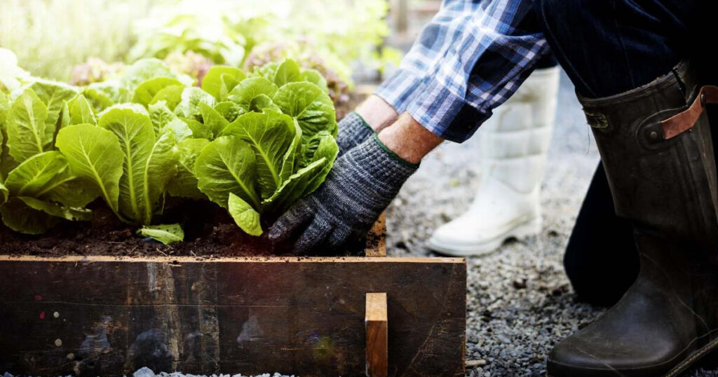 What Is The County Extension Office? Access A Wealth Of Local Gardening Knowledge