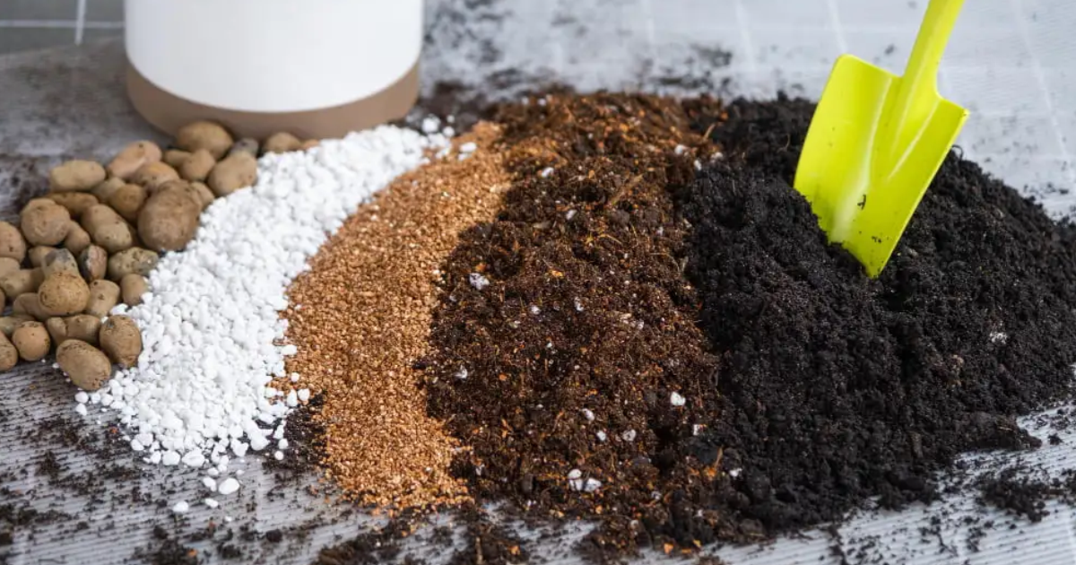 Best Manure For Gardens – What Are Different Types Of Manure