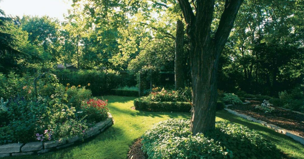 Dense Shade In Gardens: Exactly What Is Full Shade
