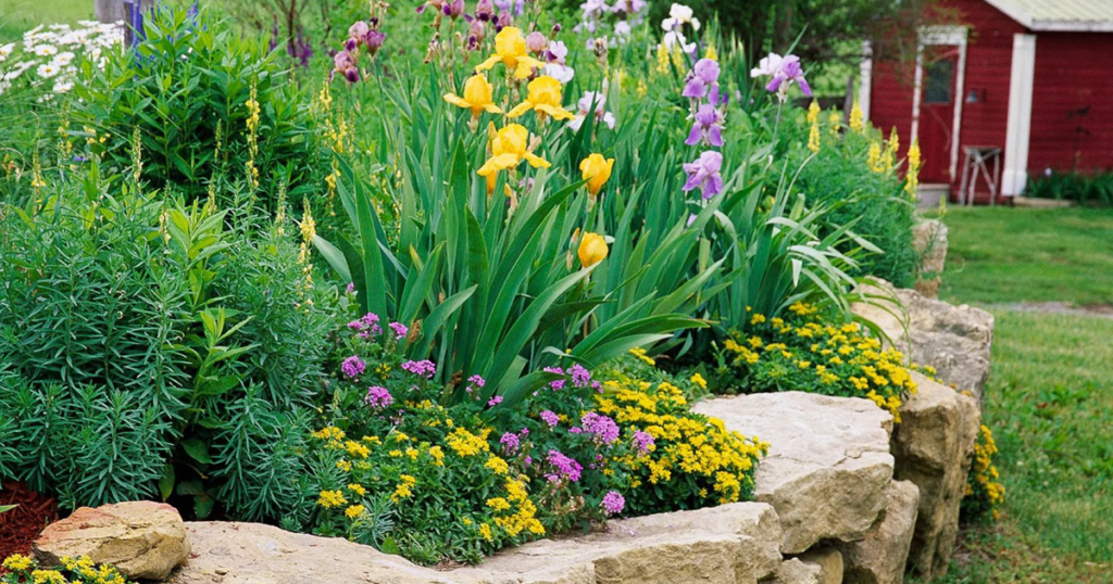 How To Start A Flower Bed