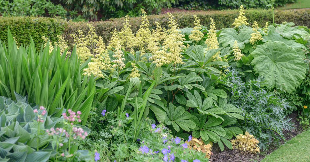 The Best Moisture-Loving Plants For Wet Areas