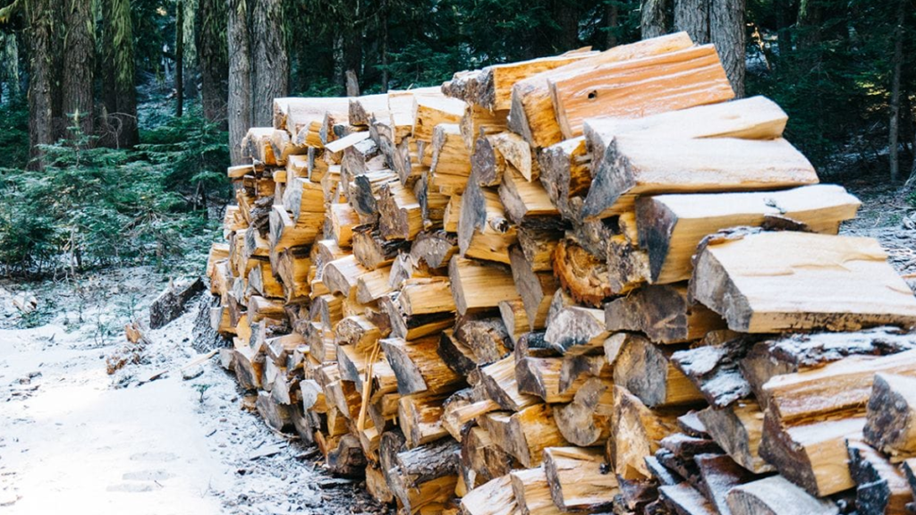 Can You Use Pine Trees for Firewood